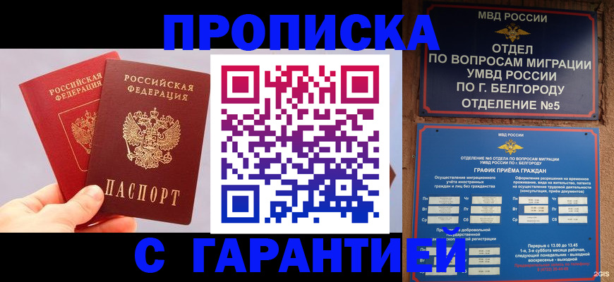 прописка 2025 в Сосновоборске